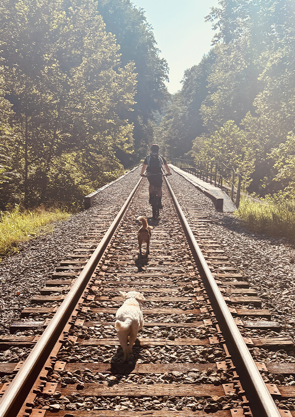 Doctor Kyser with dogs on train tracks